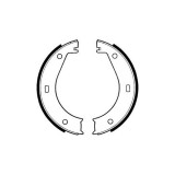 Set saboti frana mana Delphi LS1573, parte montare : Punte Spate