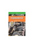 Trigonometrie pentru toţi &ndash; clasele a IX-a &ndash; a X-a - Paperback brosat - Cătălin Eugen Nachila, Petre Năchilă - Nomina