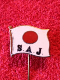 Insigna sport-Natatie - Federatia de Natatie din JAPONIA