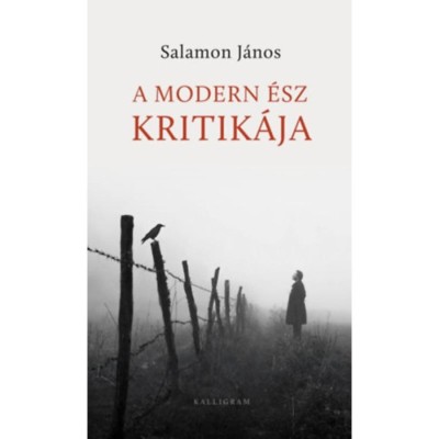 A modern &amp;eacute;sz kritik&amp;aacute;ja - Salamon J&amp;aacute;nos foto