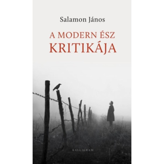 A modern &eacute;sz kritik&aacute;ja - Salamon J&aacute;nos