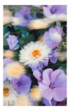 Tablou Canvas, Floral Abstract, 26 x 39 cm, CMCLASS