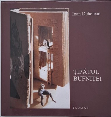 Tipatul bufnitei - Ioan Dehelean foto
