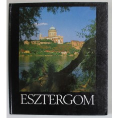 ESZTERGOM , FILEP ISTVAN , TEXT IN LIMBA MAGHIARA , 1989