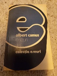 Eseuri foto