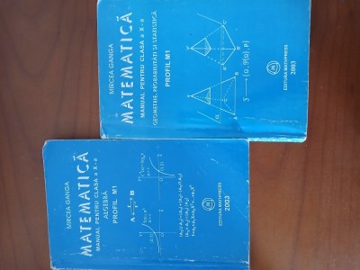 Pachet 2 Manuale Matematică Clasa 10-Mircea Ganga foto