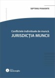 Conflicte individuale de muncă. Jurisdicția muncii Hamangiu