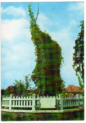 CRISTURU SECUIESC SZEKELYKERESZTUR POMUL UNDE A SCRIS PETOFI SANDOR foto