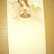 C77-F.J.CAILLER-Art Noveau-Reclama litografie veche ciocolata lapte 1900 Suisse.