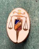 Insigna regalista Jurist student la drept