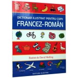 Dicționar ilustrat pentru copii francez-rom&acirc;n - Paperback brosat - David Melling - Elektra