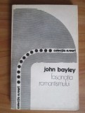 John Bayley - Fascinatia romantismului