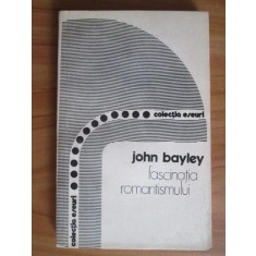 John Bayley - Fascinatia romantismului