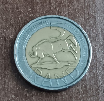 C50 - Moneda foarte veche - 5 rand - Africa de Sud - 2005 foto