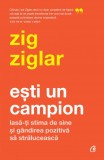 Esti un campion - Zig Ziglar