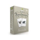 Montessori. Asocieri: Animale