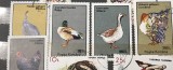 Cumpara ieftin (3) Timbre Serii Romania Fauna Pasari
