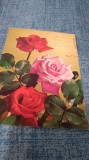 CARTE POSTALA FELICITARE CIRCULATA