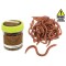 Rame (earthworms)
