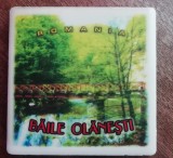 BQZ1 - Magnet frigider - tematica turism - Baile Olanesti - Romania 30