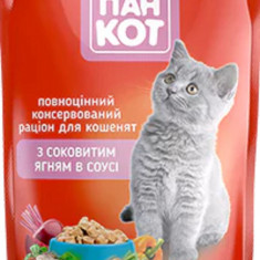 Wise Cat Hrana Umeda pentru Pisici Junior cu Miel in Sos 100G