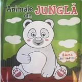Animale din jungla. Baita distractiva/***