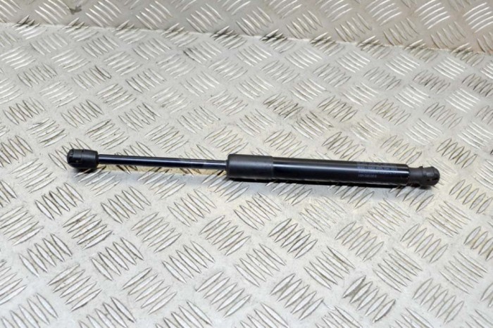 Amortizor haion dreapta TESLA MODEL 3 2019 OEM: 1091560-00-B 13776296