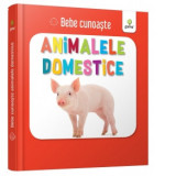 Bebe cunoaste: Animalele domestice