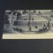 Carte Poștală Vintage Elveția -Berna , Țarc pentru Urși Bruni (cel mai probabil din perioada 1900&ndash;1940)