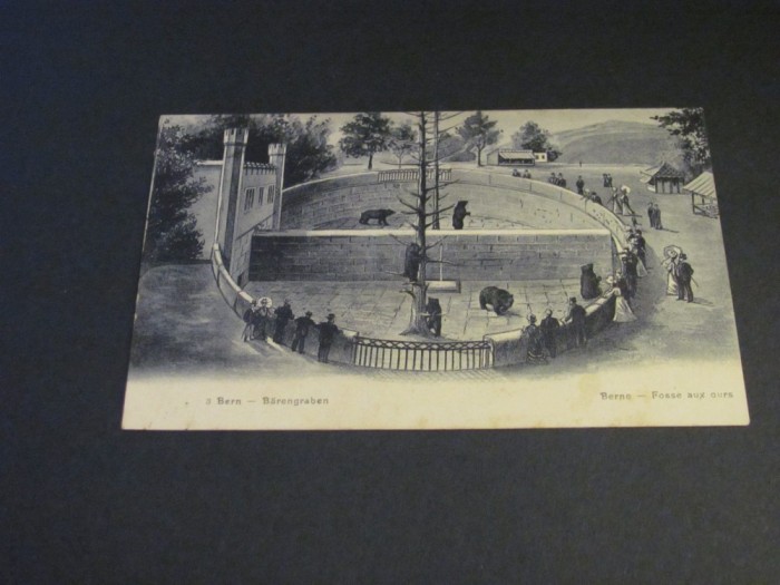 Carte Poștală Vintage Elveția -Berna , Țarc pentru Urși Bruni (cel mai probabil din perioada 1900&ndash;1940)