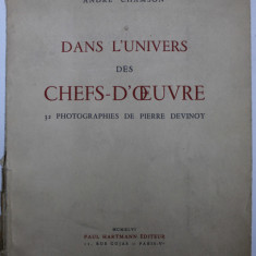DANS L ' UNIVERS DESM CHEFS - D' OEUVRE - 32 PHOTOGRAPHIES de PIERRE DEVINOY , 1946 , EXEMPLAR NUMEROTAT 113 DIN 2500 *