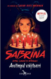 Anotimpul vrajitoarei. Seria Sabrina: Intre lumina si intuneric. Vol.1 - Sarah Rees Brennan