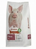 Concentrat Profesional Purcei Starter Protena - 5 kg