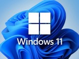 Windows 11 Enterprise LTSC, stick bootabil, licenta Retail, activare online, Microsoft