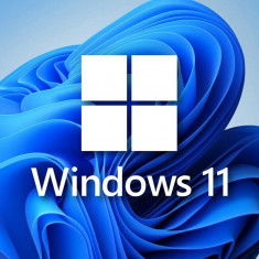 Windows 11 Enterprise LTSC, stick bootabil, licenta Retail, activare online