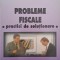Probleme fiscale. Practici de solutionare - N. Grigorie-Lacrita
