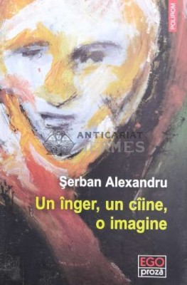 Un inger, un ciine, o imagine - 2015 - Serban Alexandru (N11) foto