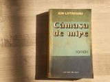 Camasa de mire de Ion Lotreanu
