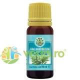 Ulei Esential de Cedru 10ml