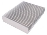 Radiator Extrudat cu Aripioare Naturale 200x250mm Brut AL