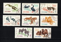 Rom&amp;acirc;nia, 1964 | Grădina Zoologică Bucureşti - Animale | Serie completă | aph foto