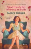 Cand trandafirii infloresc in Sicilia - Aurora Tamigio