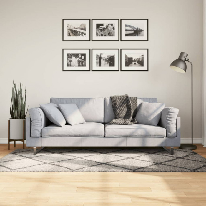 vidaXL Covor pufos cu fire &icirc;nalte, bej și antracit modern, 100x200 cm