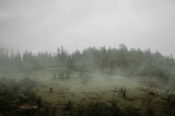 Tablou Canvas, "C&acirc;mpie &icirc;nvăluită &icirc;n ceață dimineața", Ceață, Pajiște, Copaci, Tăcere, Melancolie, Natură, Răcoare, Verdeață, Mister, Liniște, 39 x 26