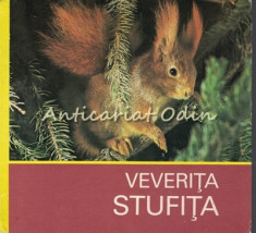 Veverita Stufita - Helmut Massny foto