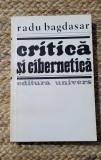 CRITICA SI CIBERNETICA-RADU BAGDASAR
