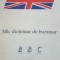 BBC Mic dictionar de buzunar