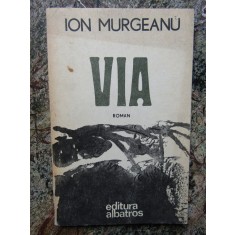 VIA de ION MURGEANU, 1984