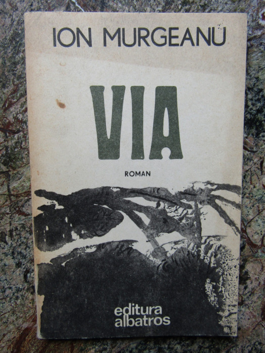 VIA de ION MURGEANU, 1984