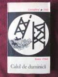 Cumpara ieftin &quot;CALUL DE DUMINICA&quot;, Ioana Orlea, 1968